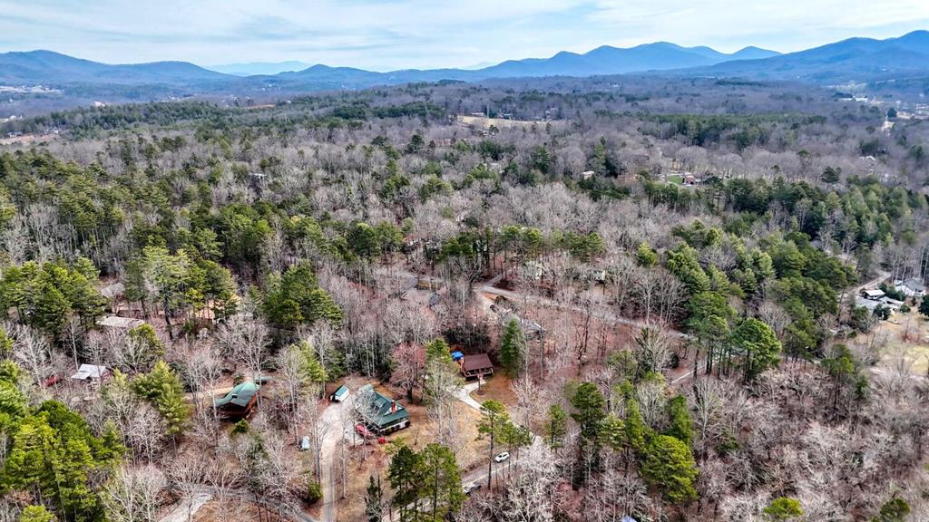 523 Lake Nottely Drive Property Photo 37
