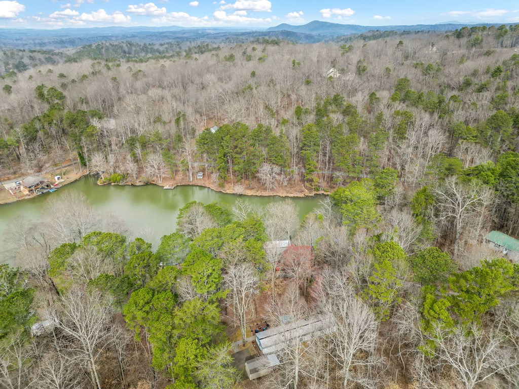 800 Twin Mountain Lake Circle Property Photo 11