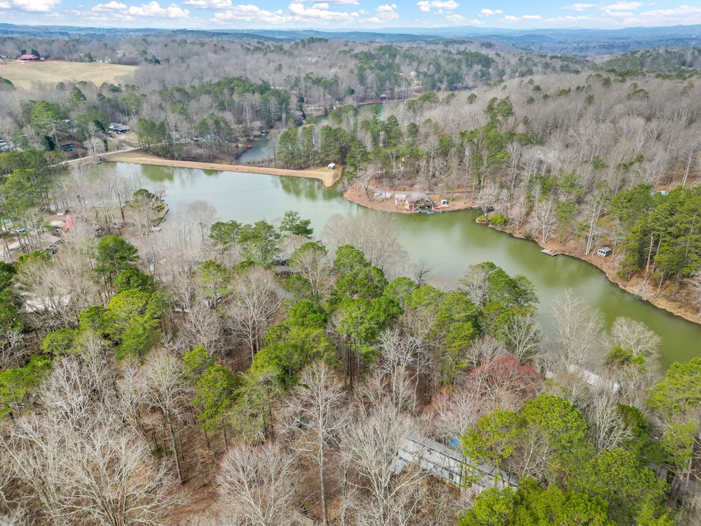 800 Twin Mountain Lake Circle Property Photo 12