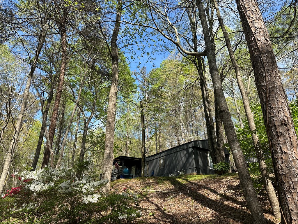 800 Twin Mountain Lake Circle Property Photo 39