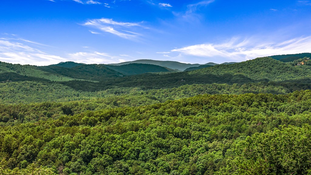 116 Round Top Road Property Photo 74