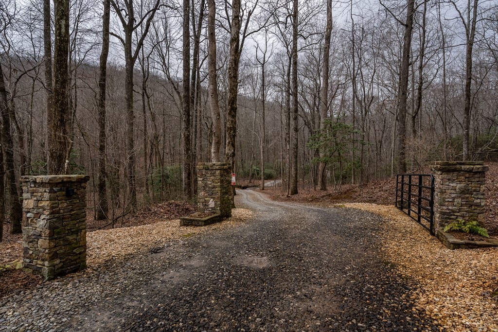185 Huckleberry Cove Drive Property Photo 46