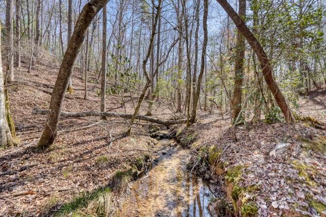 271 Kates Cove Road Property Photo 37