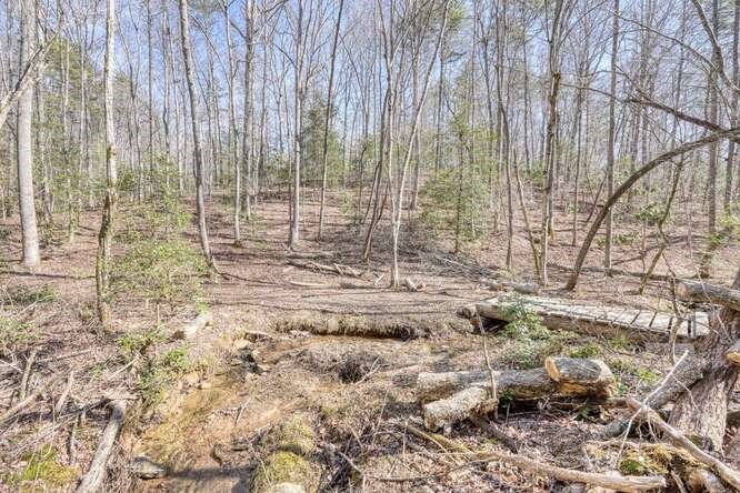 271 Kates Cove Road Property Photo 39