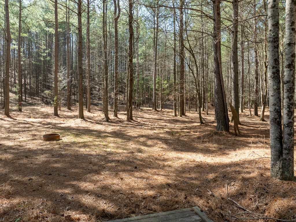 735 Deyton Drive Property Photo 14