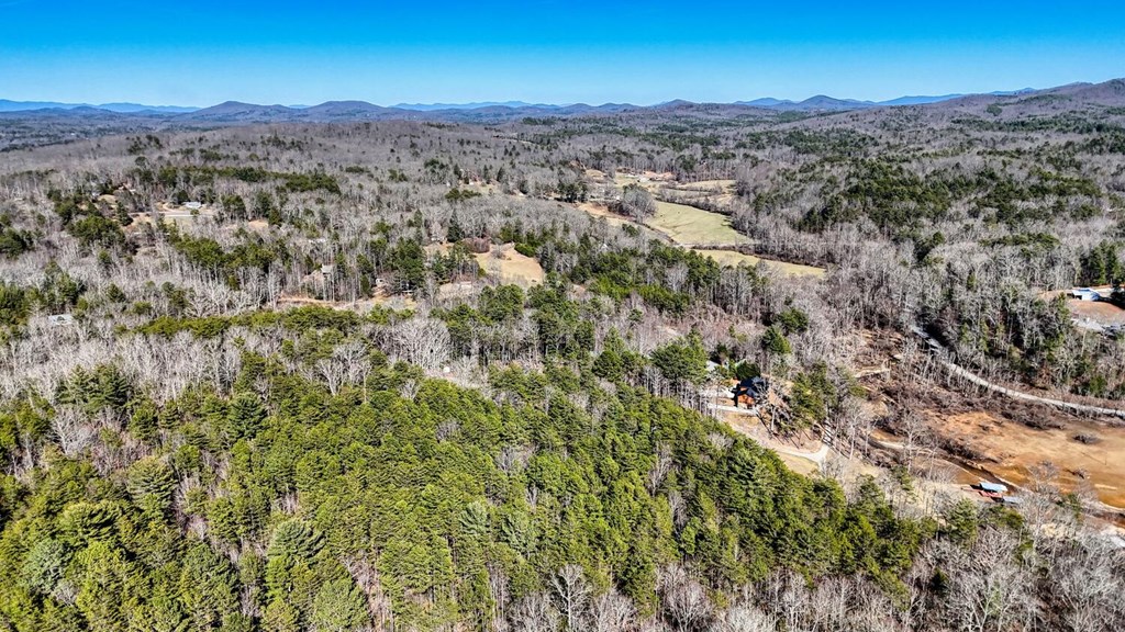 11 Collins Hollow Cove Property Photo 50