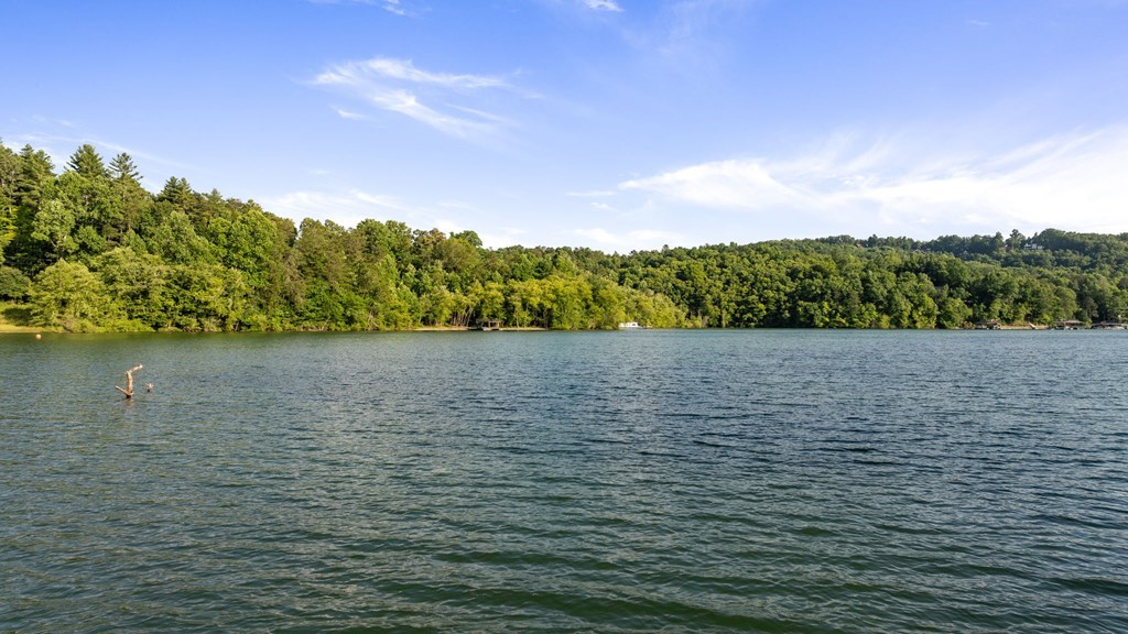 11 Collins Hollow Cove Property Photo 51