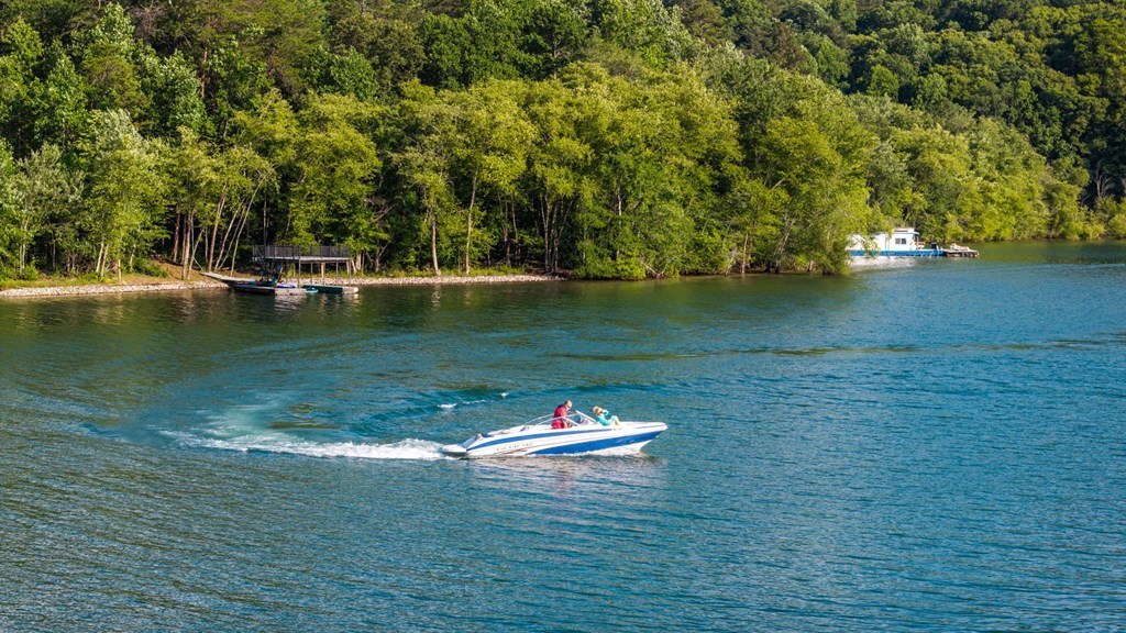 11 Collins Hollow Cove Property Photo 52