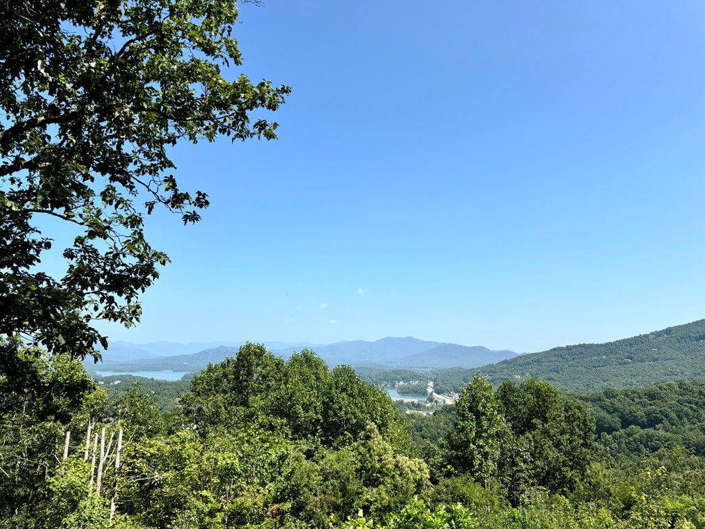 1568 Harris Ridge Road Property Photo 49