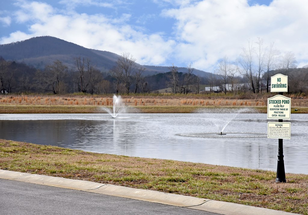 57 Mountain Vista Property Photo 45