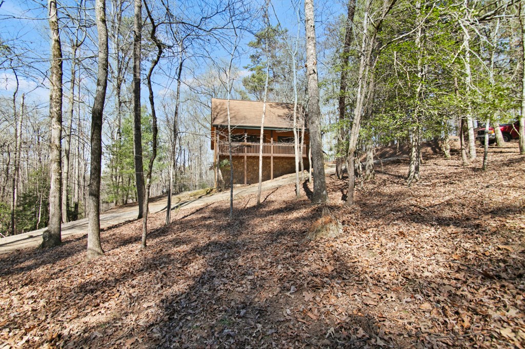 1408 Newport Drive Property Photo 3