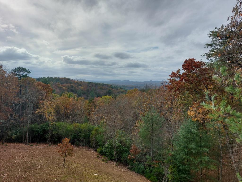 46 Sequoya Trl Property Photo 67