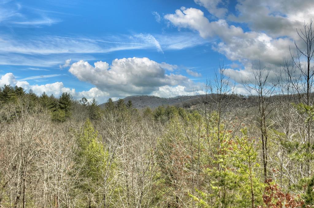 85 Foster Cove Road Property Photo 38