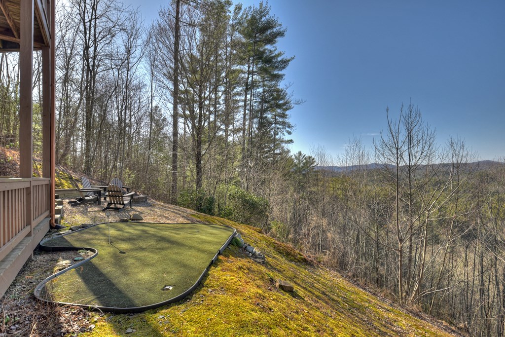 602 Laurel Creek Trail Property Photo 42