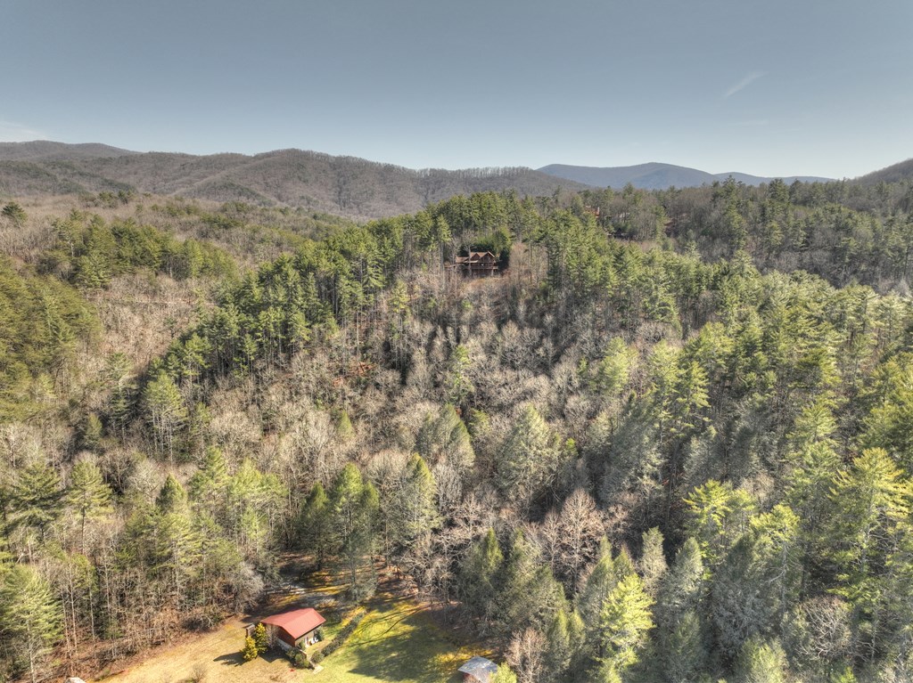 602 Laurel Creek Trail Property Photo 47