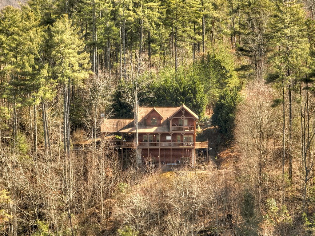 602 Laurel Creek Trail Property Photo 48