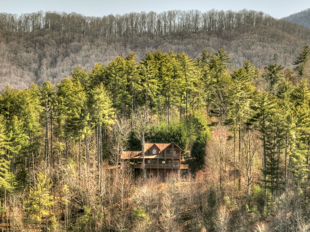 602 Laurel Creek Trail Property Photo 49