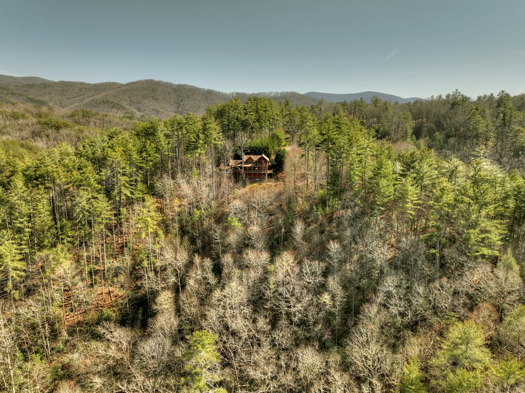 602 Laurel Creek Trail Property Photo 50