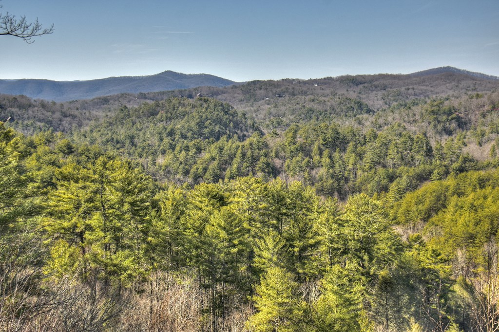 602 Laurel Creek Trail Property Photo 54