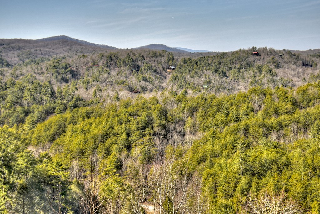 602 Laurel Creek Trail Property Photo 55