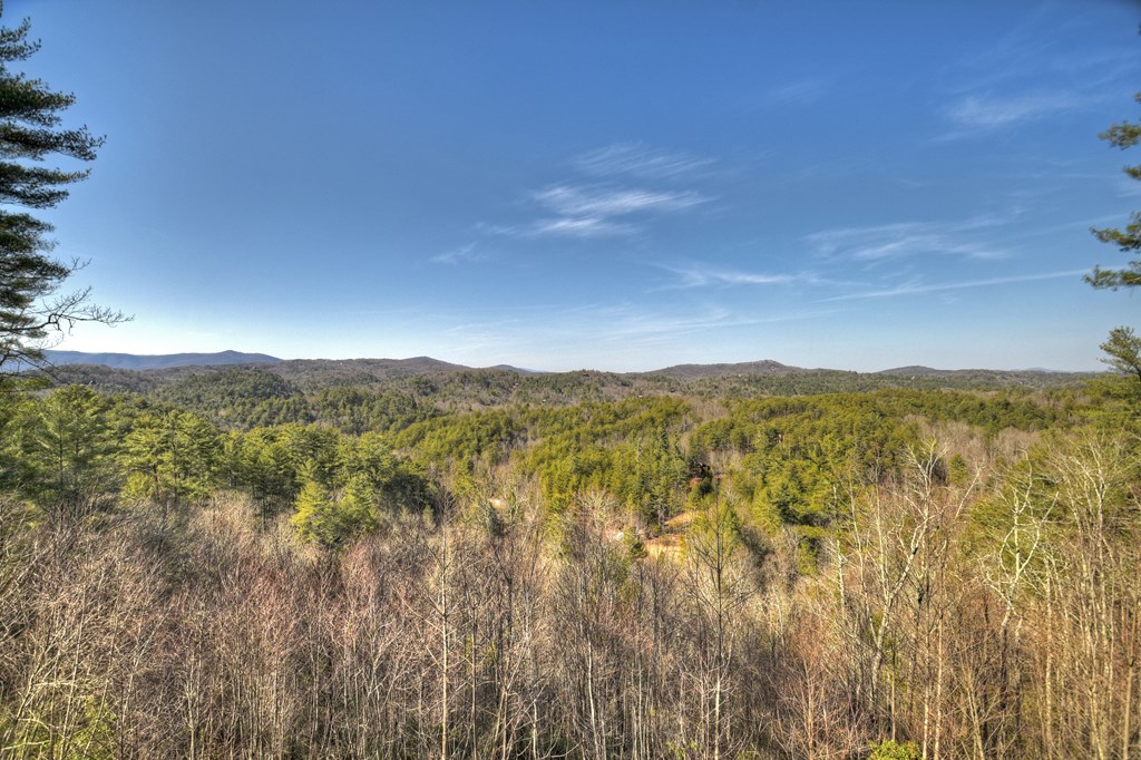 602 Laurel Creek Trail Property Photo 56