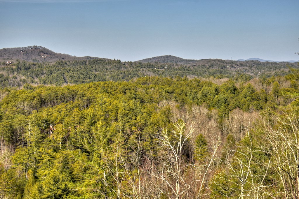 602 Laurel Creek Trail Property Photo 57