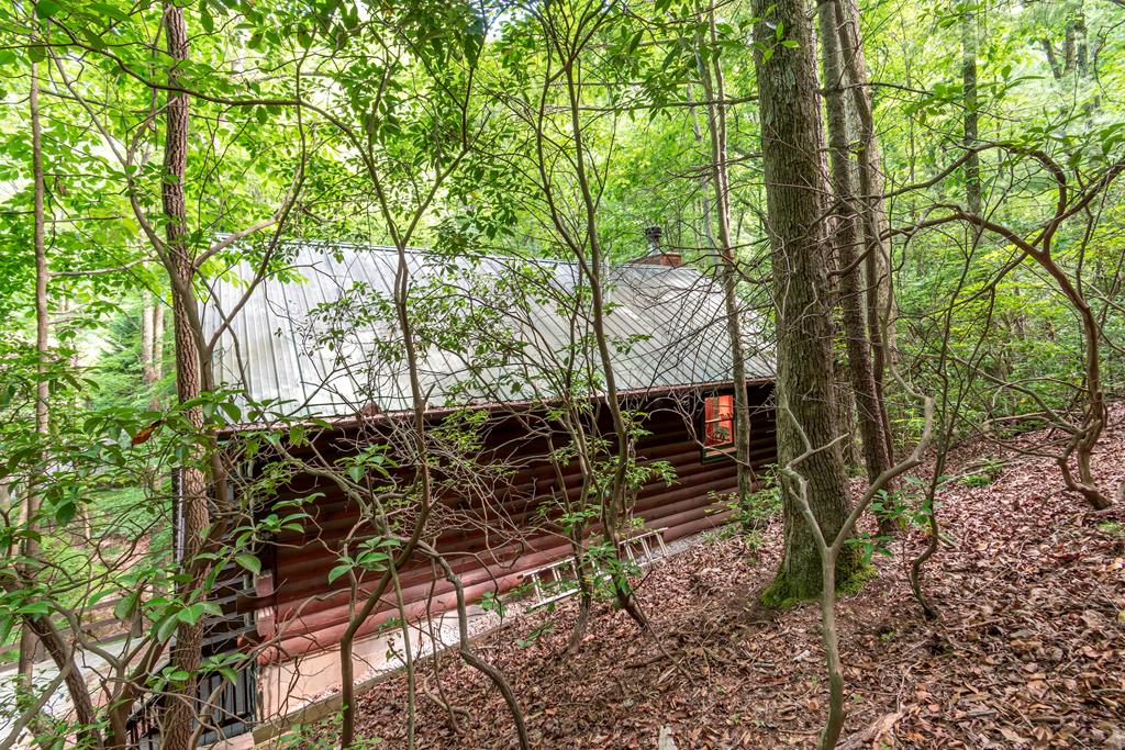 341 Valley View Road Property Photo 49