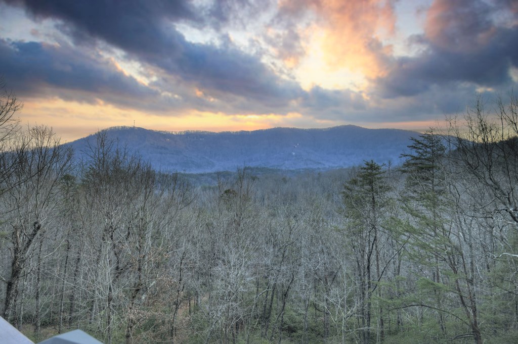 411 Ridge Trail Property Photo 3