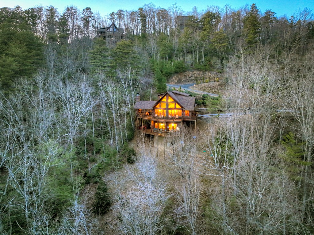 411 Ridge Trail Property Photo 46
