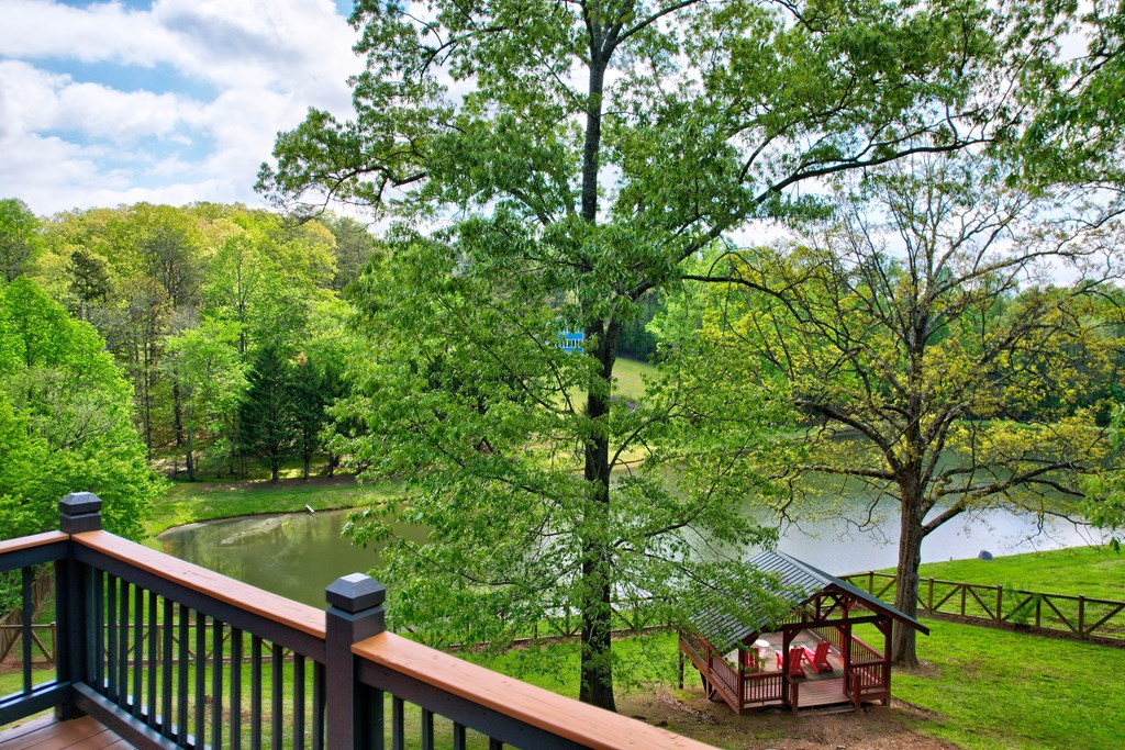 1650 Loving Road Property Photo 58