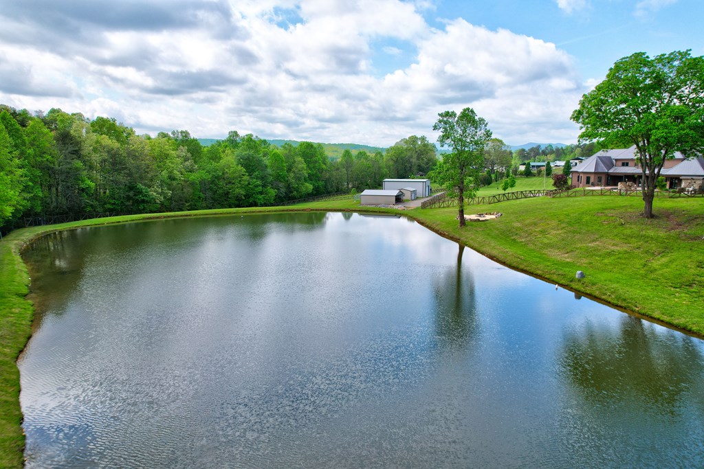 1650 Loving Road Property Photo 59