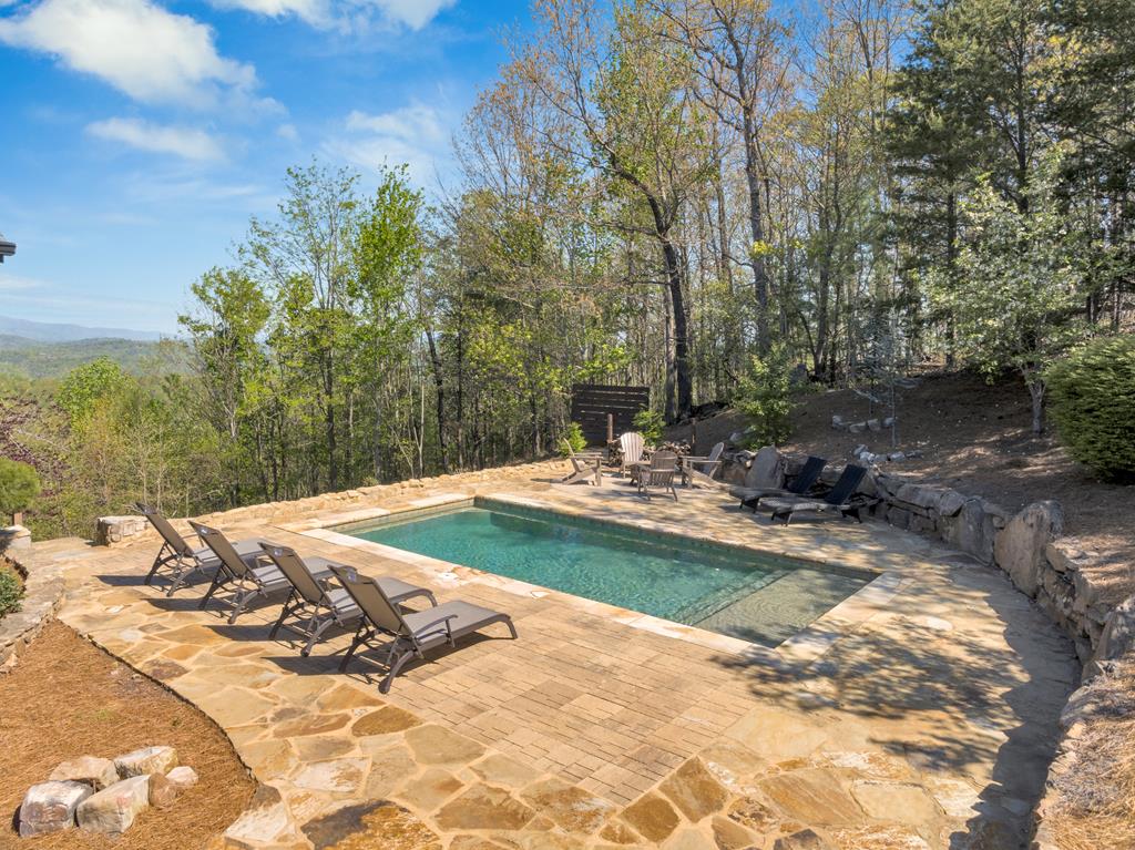 539 Deer Crest Overlook Property Photo 4
