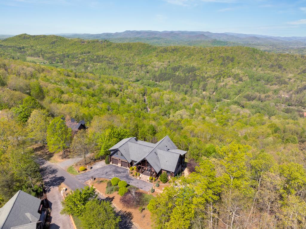 539 Deer Crest Overlook Property Photo 51