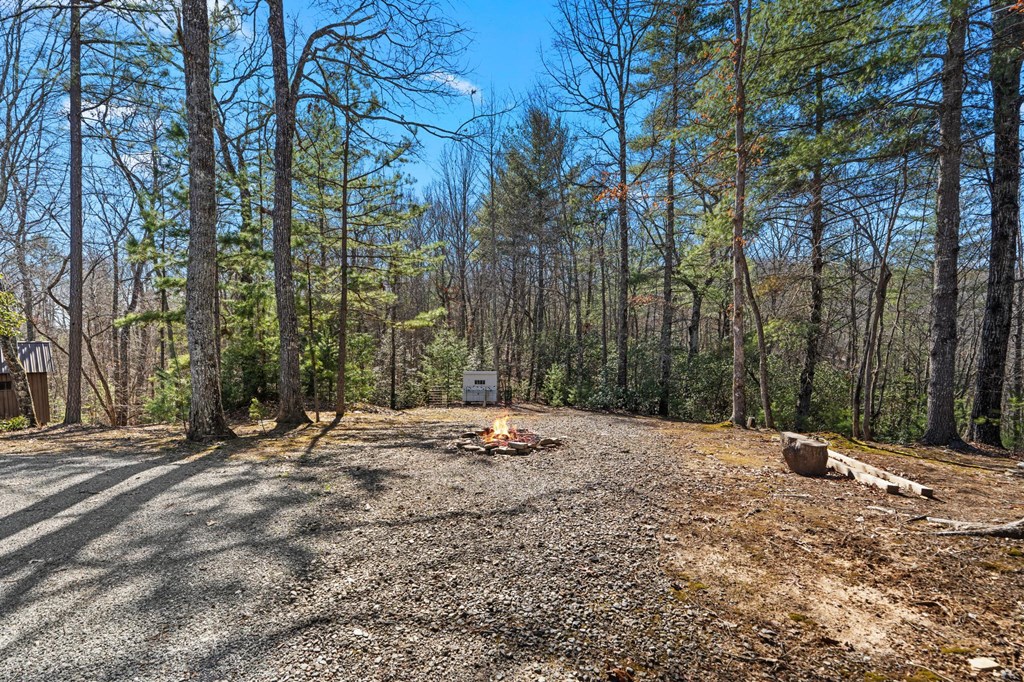 161 Boulder Mountain Drive Property Photo 22