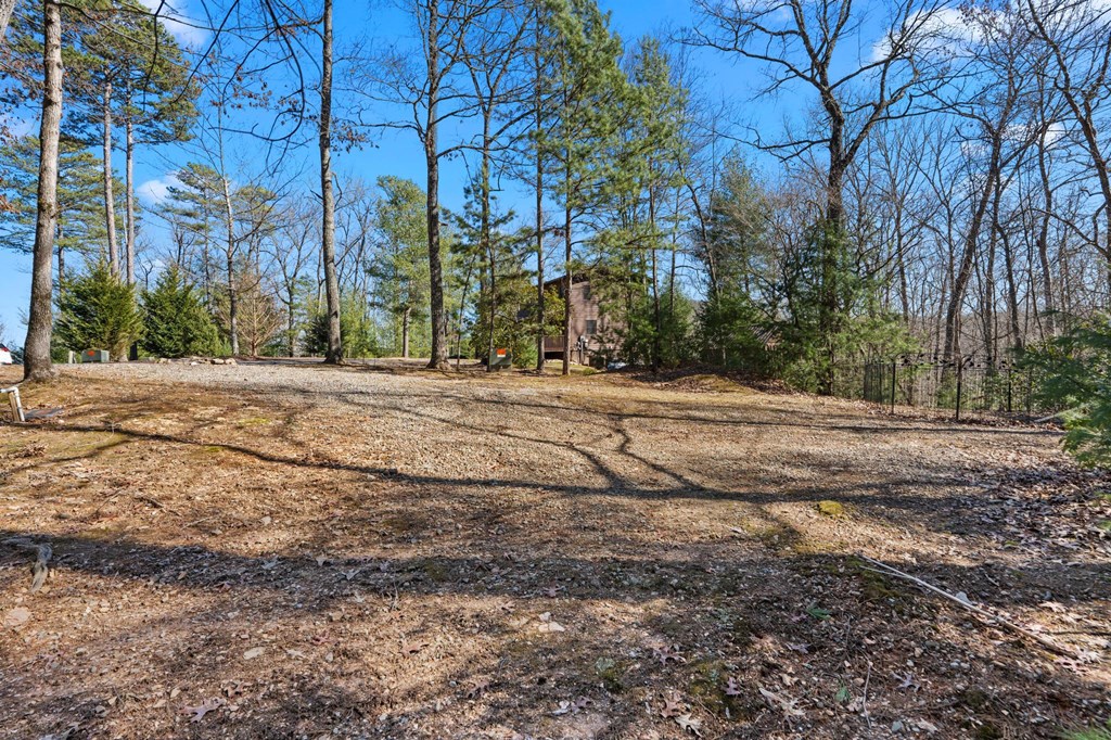 161 Boulder Mountain Drive Property Photo 23