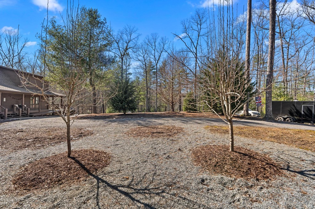 161 Boulder Mountain Drive Property Photo 24