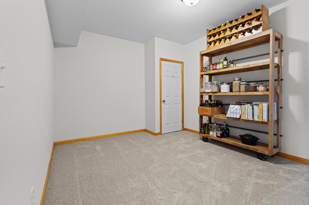 161 Boulder Mountain Drive Property Photo 49