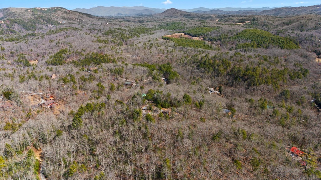 161 Boulder Mountain Drive Property Photo 59