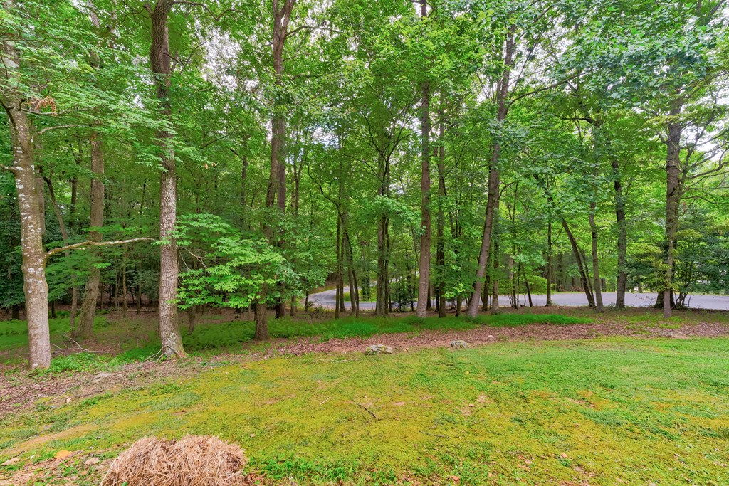 44 W D Court Property Photo 40