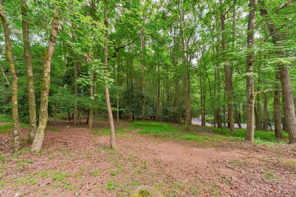 44 W D Court Property Photo 65
