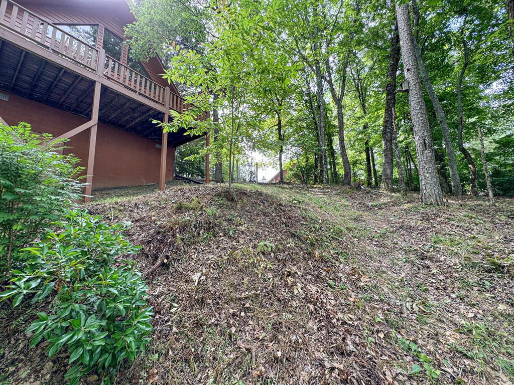 425 Boyd Ridge Drive Property Photo 25
