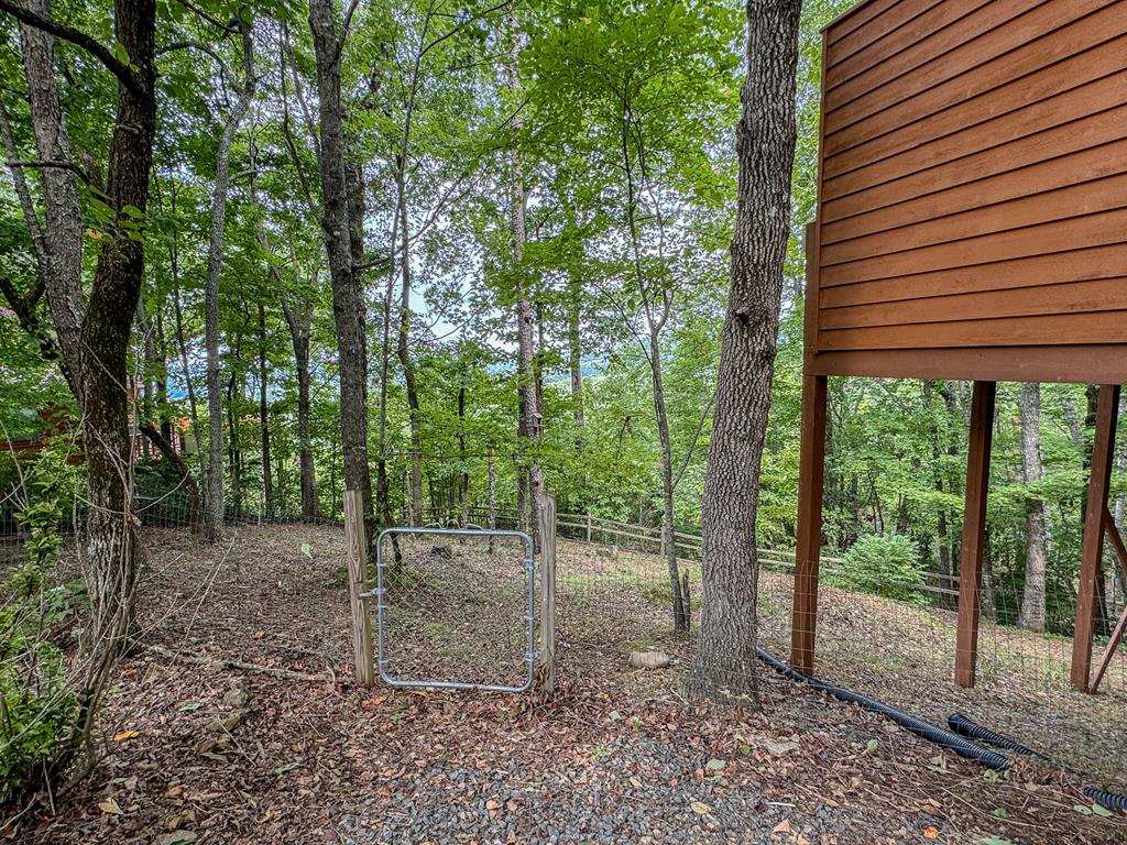 425 Boyd Ridge Drive Property Photo 30
