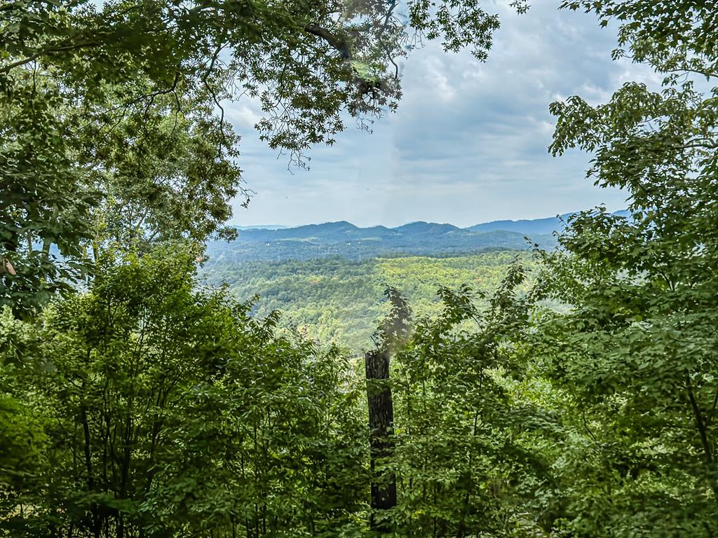 425 Boyd Ridge Drive Property Photo 35