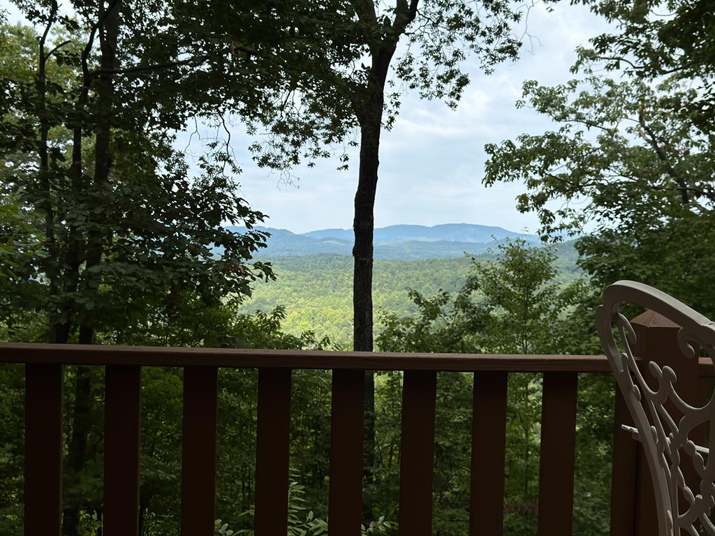 425 Boyd Ridge Drive Property Photo 36