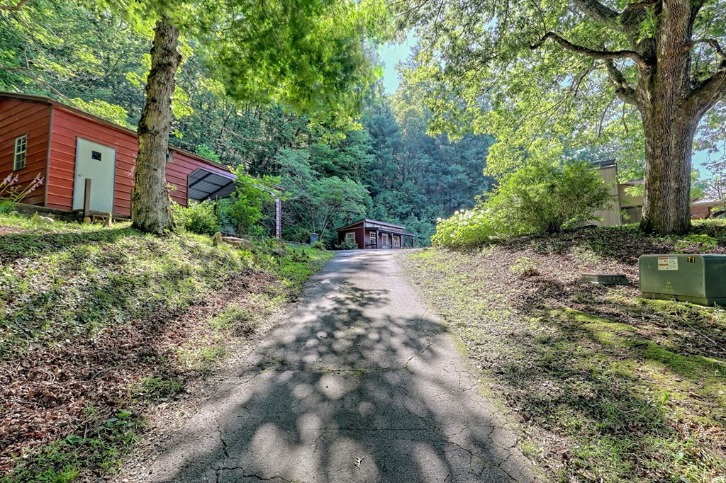 57 Hwy 180 Property Photo 4