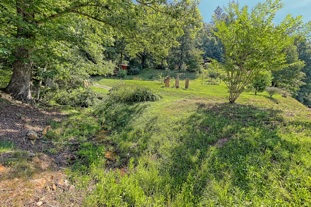 57 Hwy 180 Property Photo 67