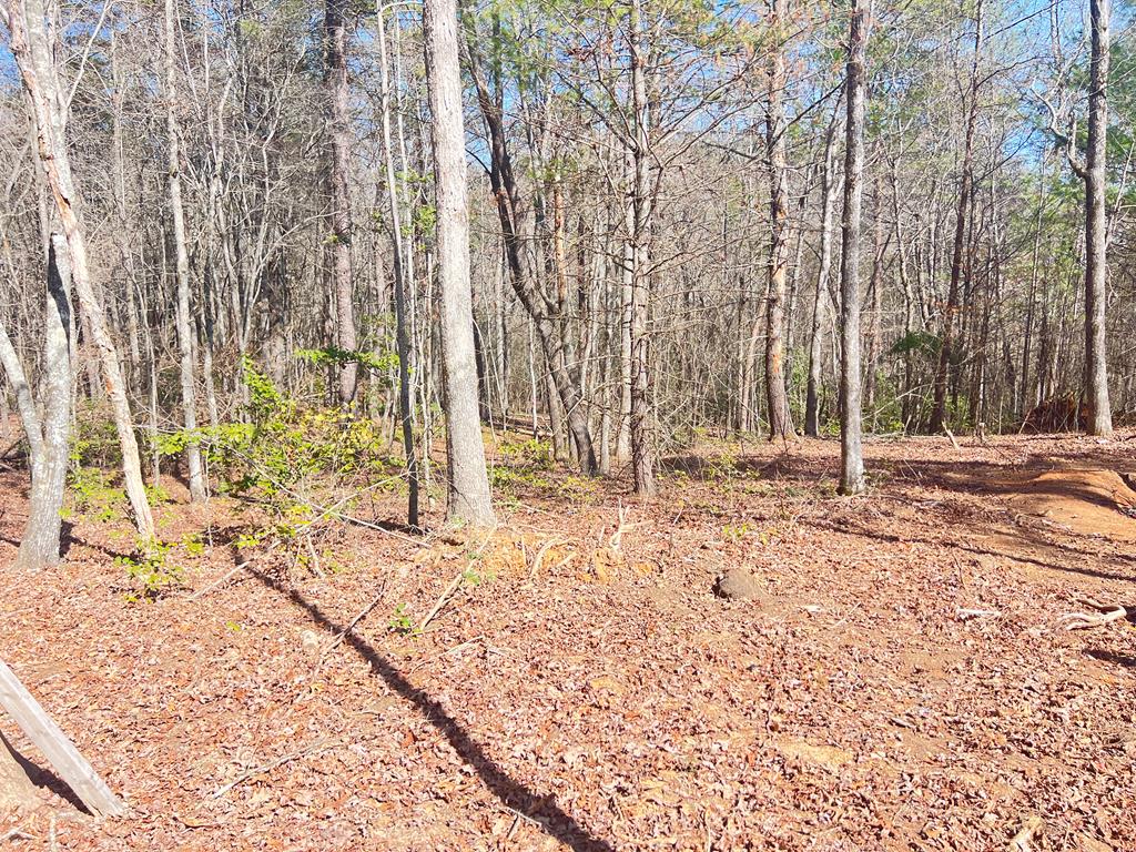 C Ponderosa Property Photo