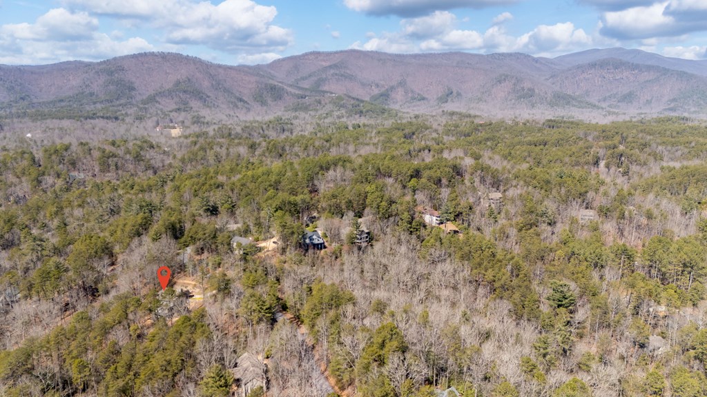 1573 Sautee Trail Property Photo 66