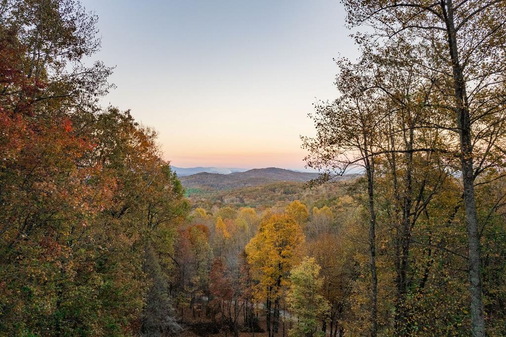 384 Mountain Highlands Court Property Photo 2