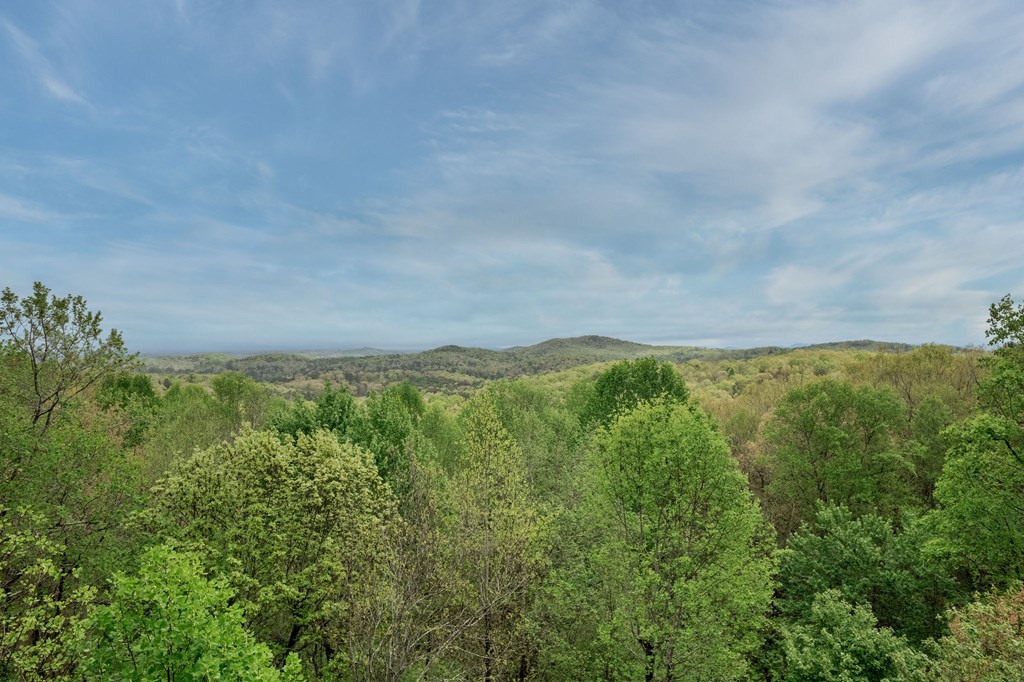 384 Mountain Highlands Court Property Photo 19